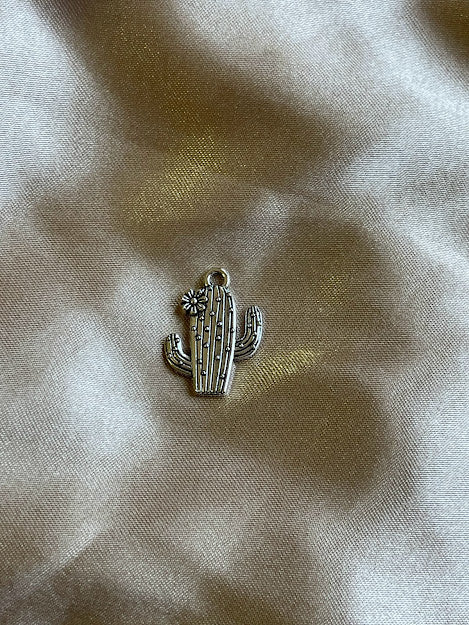 Cactus with a flower 112